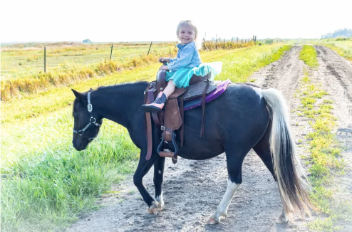 Farm Life