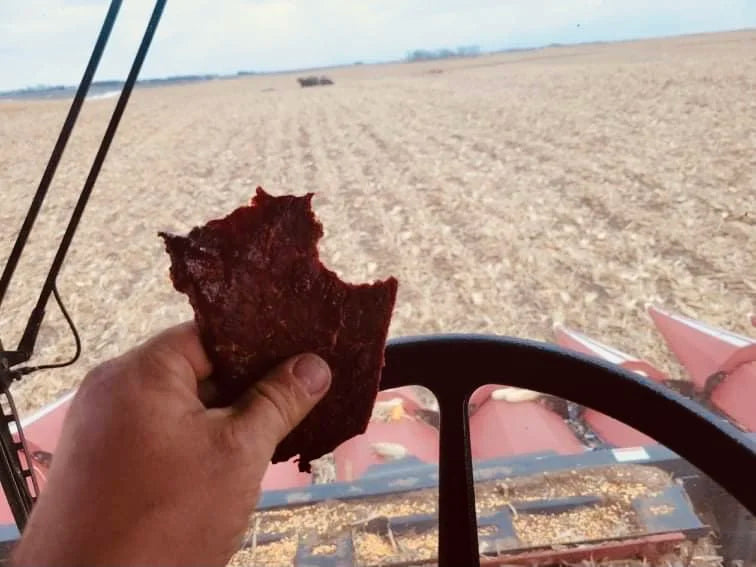 Beef Jerky - view 4