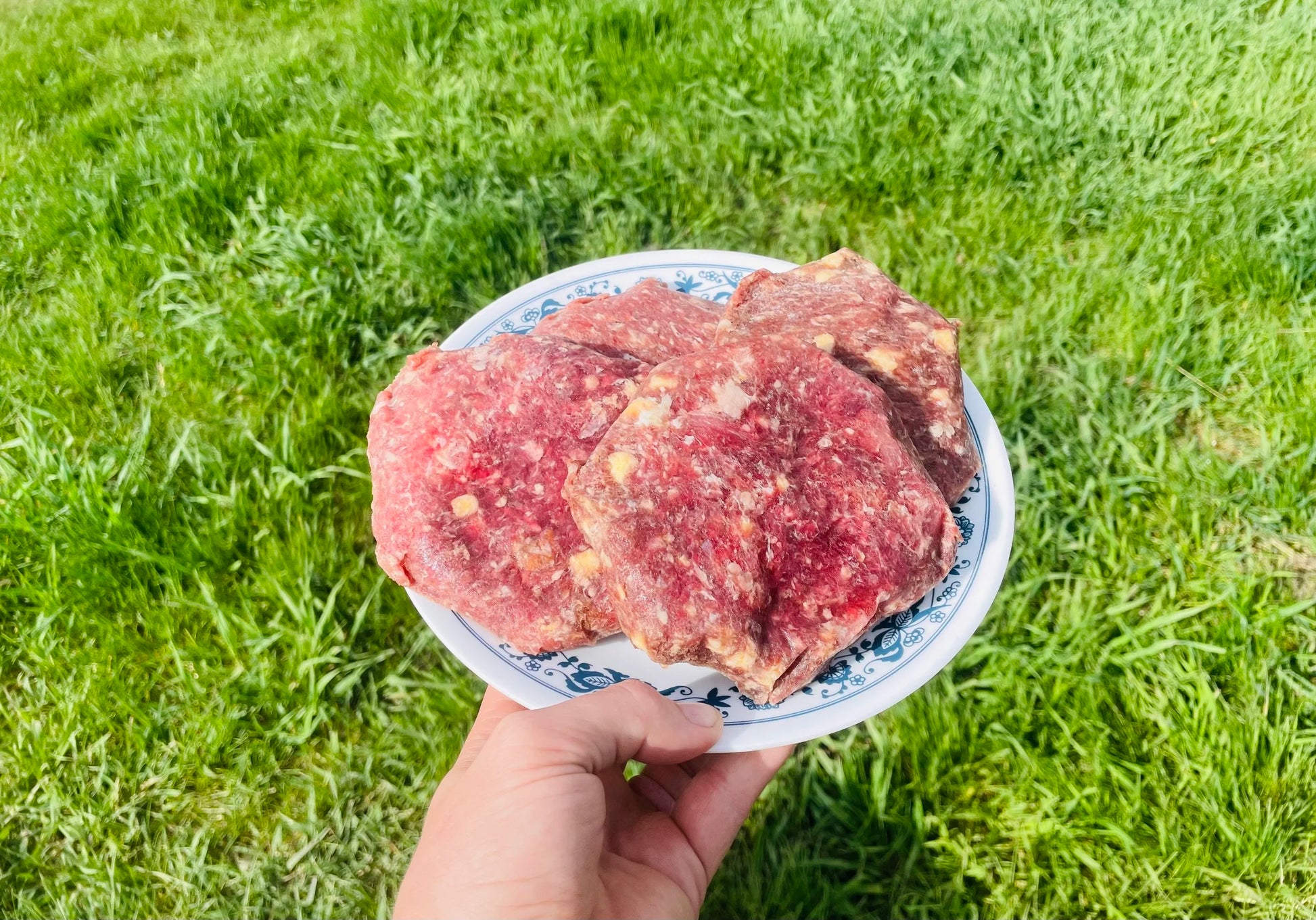 Hamburger Patties