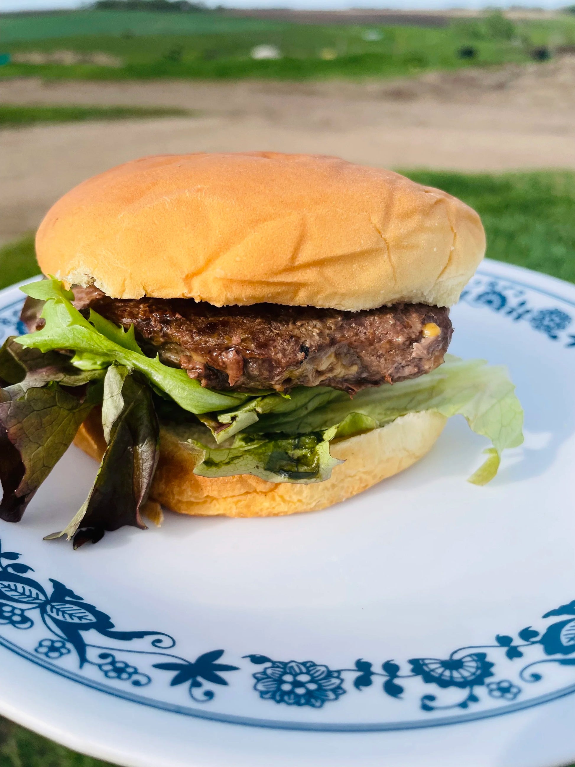 Hamburger Patties - view 2
