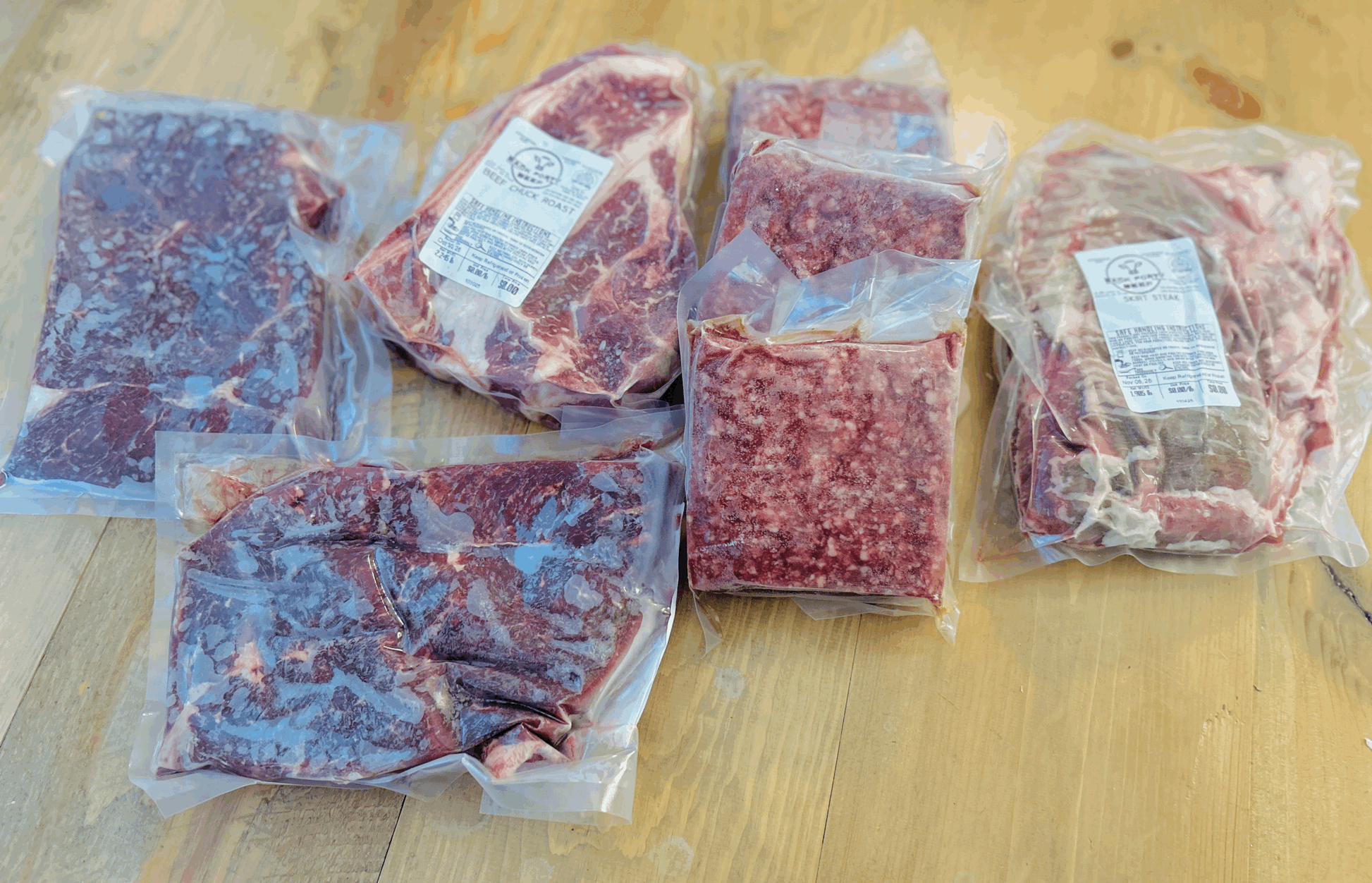 Family Favorites Bundle